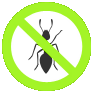 TERMITE CONTROL